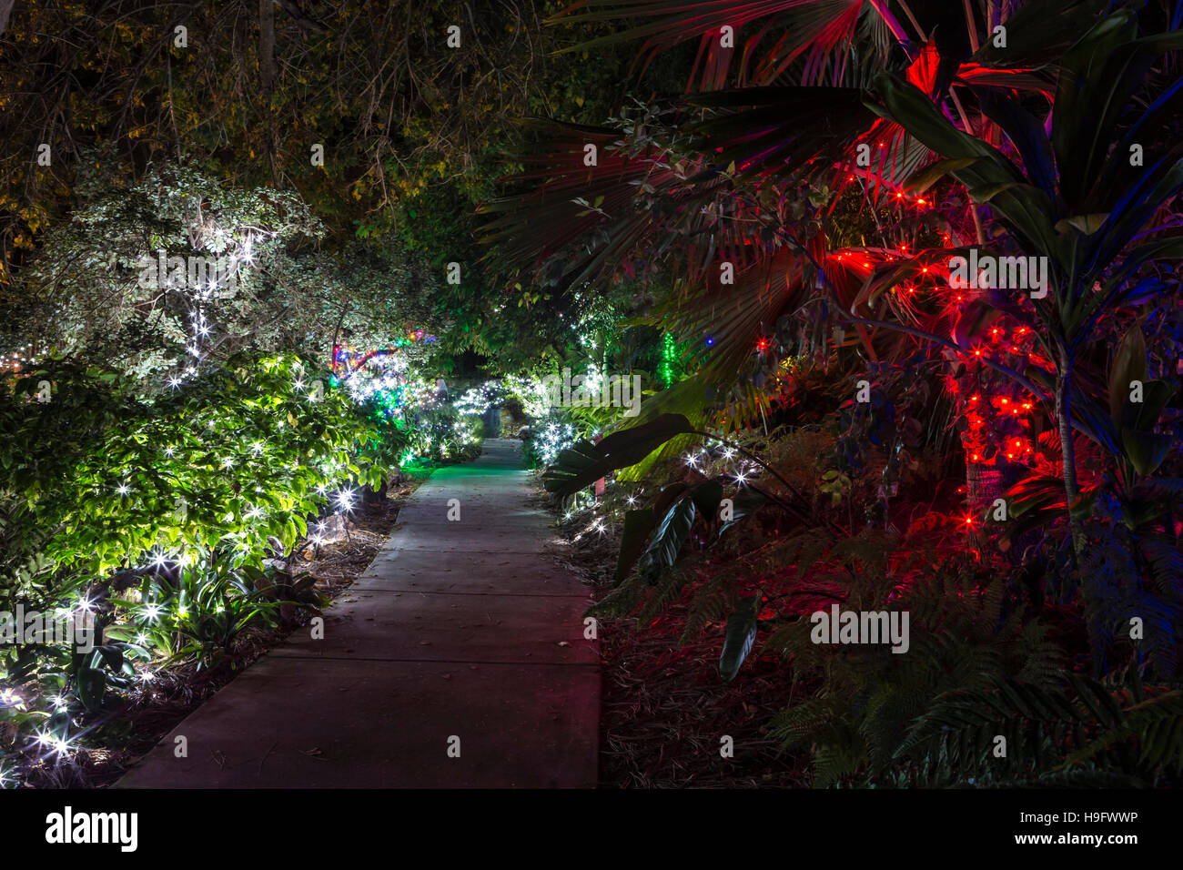 san diego botanic gardens xmas lights, california Stock Photo Alamy