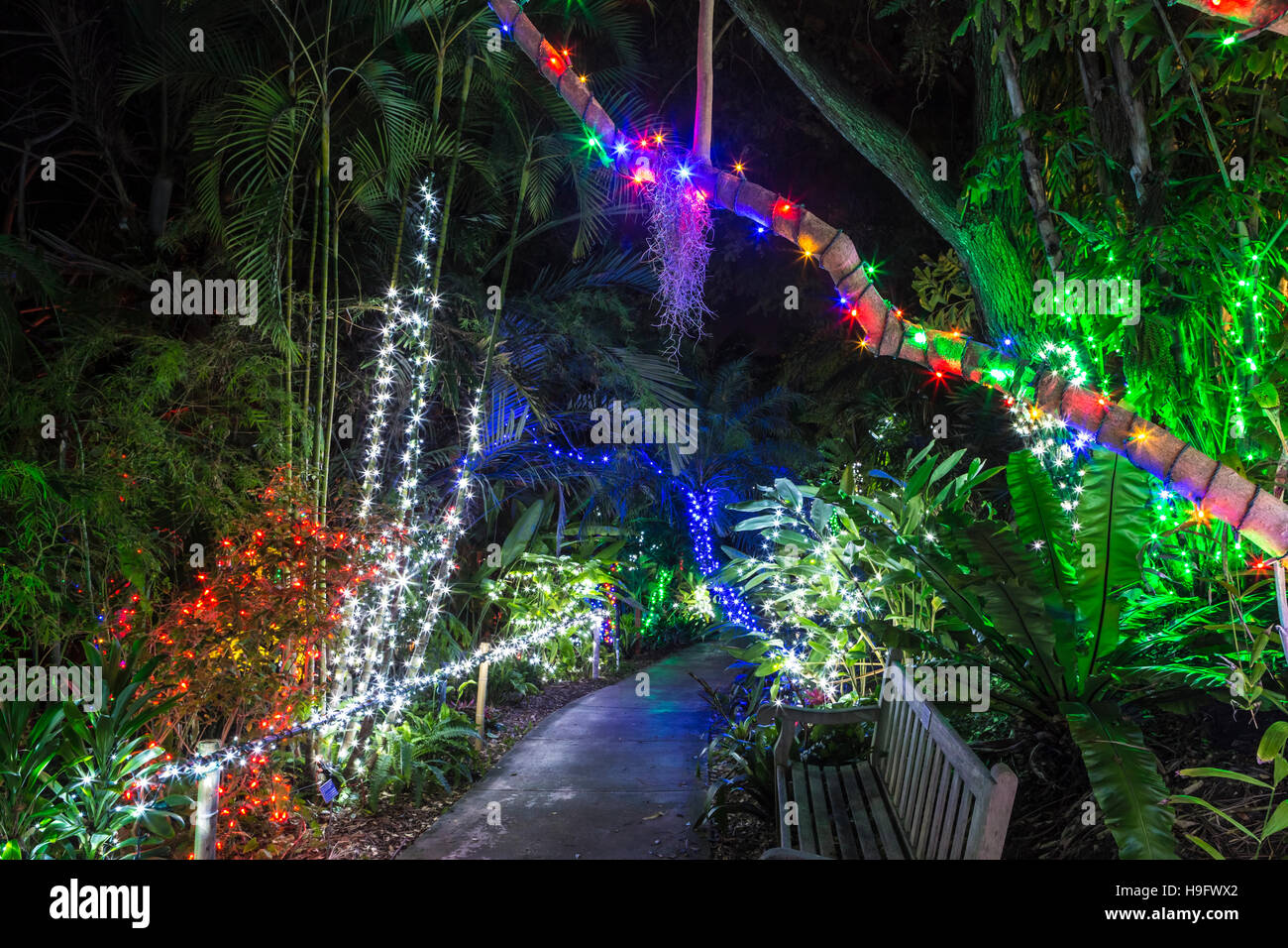 san diego botanic gardens xmas lights, california Stock Photo Alamy