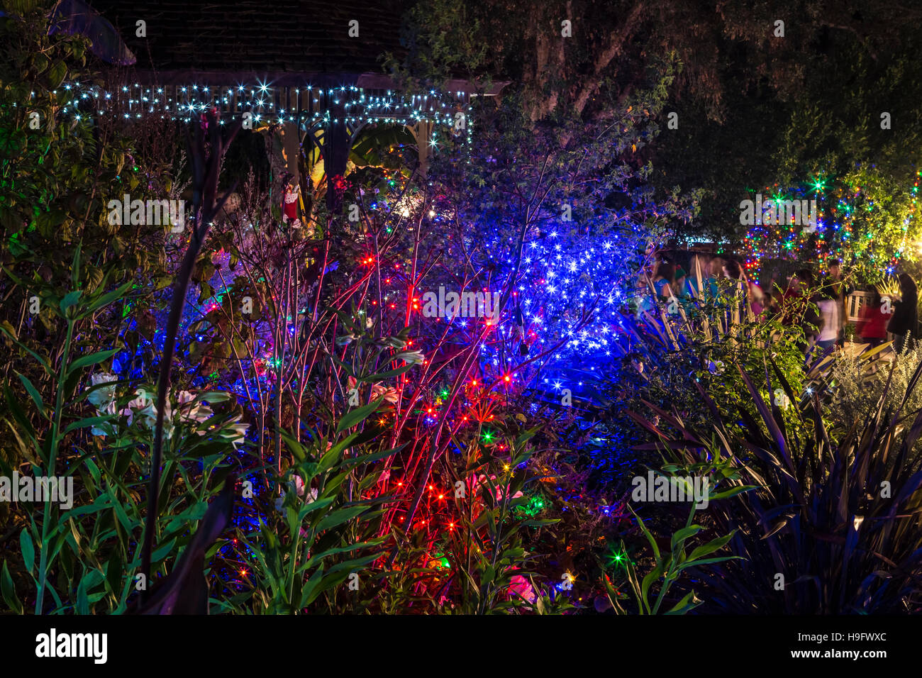san diego botanic gardens xmas lights, california Stock Photo Alamy
