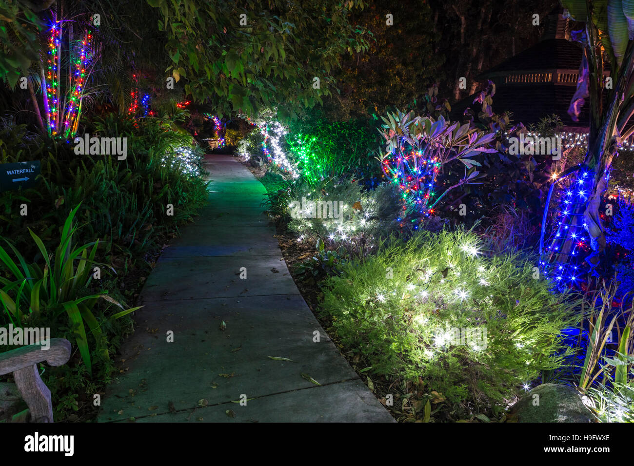 san diego botanic gardens xmas lights, california Stock Photo Alamy