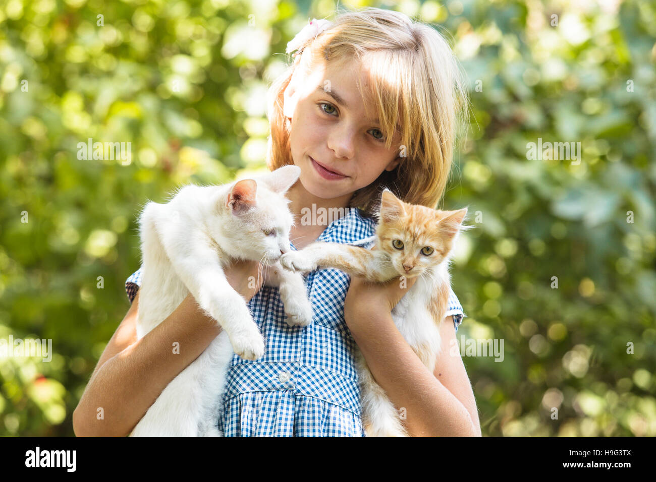 Girl play with kitten Stock Photo Alamy