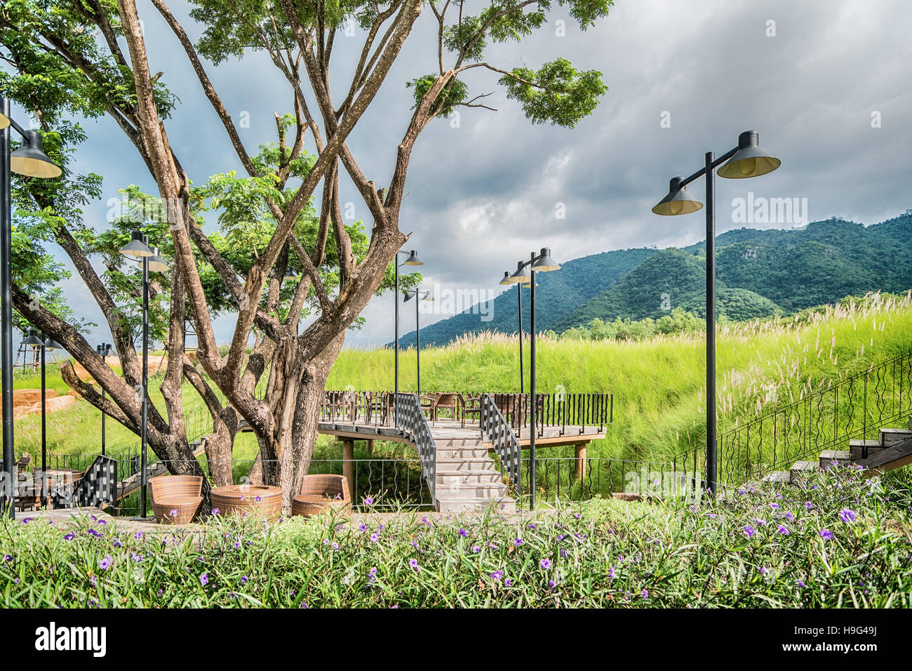 The wood table on natural outdoor of a restaurant with tree and cloudy