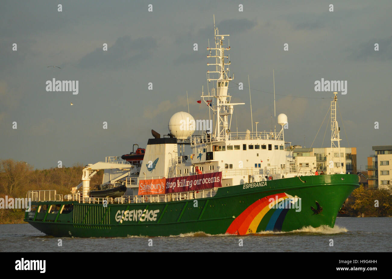 Greenpeace research vessel Esperanza  heading up the Thames to London on a campaign visit Stock Photo