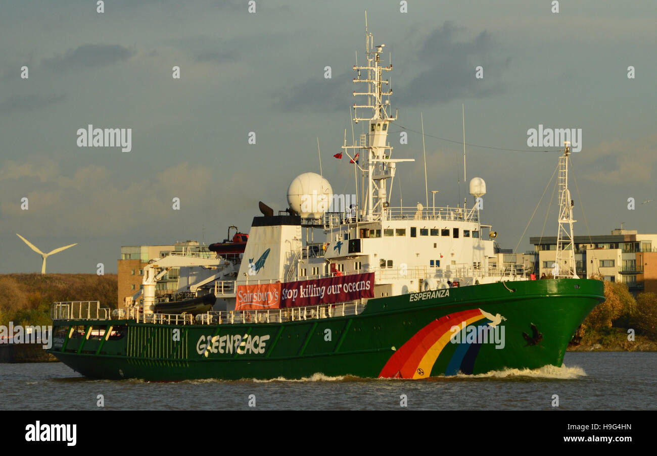 Greenpeace research vessel Esperanza  heading up the Thames to London on a campaign visit Stock Photo
