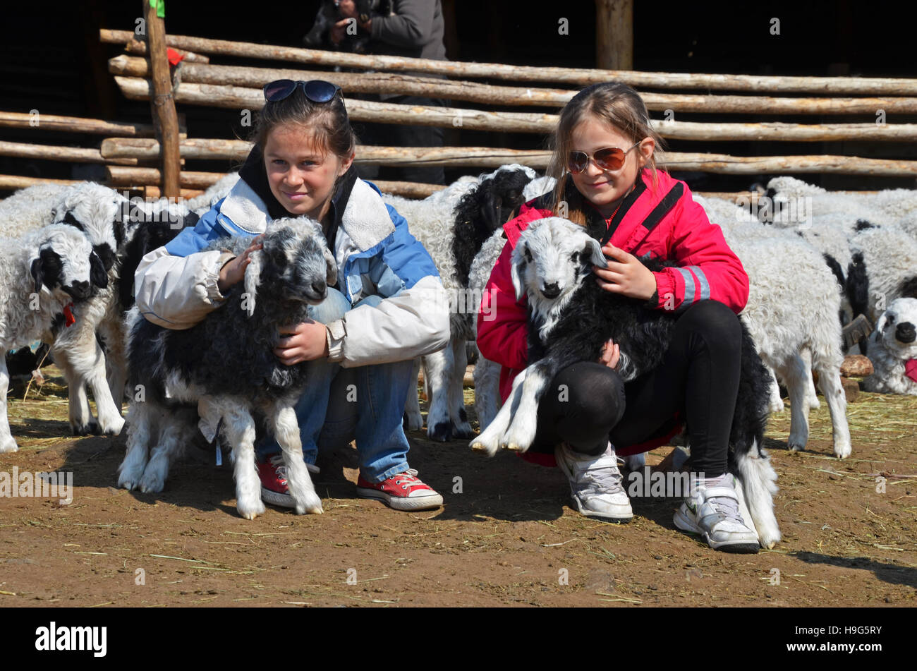 Two young tourists pose with cashmere goat kids, Mongolia Stock Photo ...