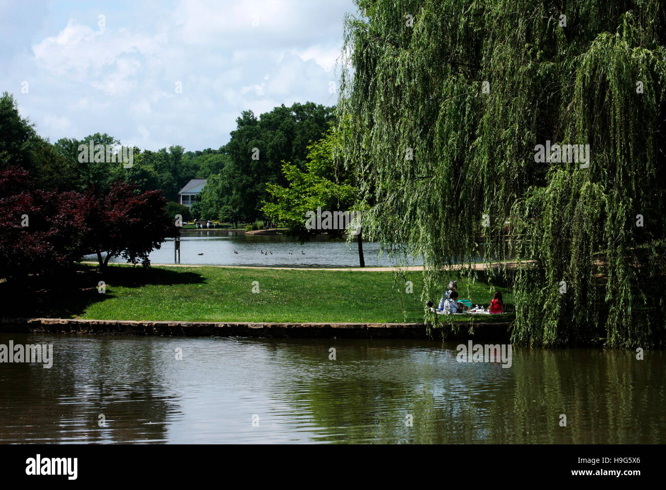 Family having a picnic under a weeping willow tree at Freedom Park in