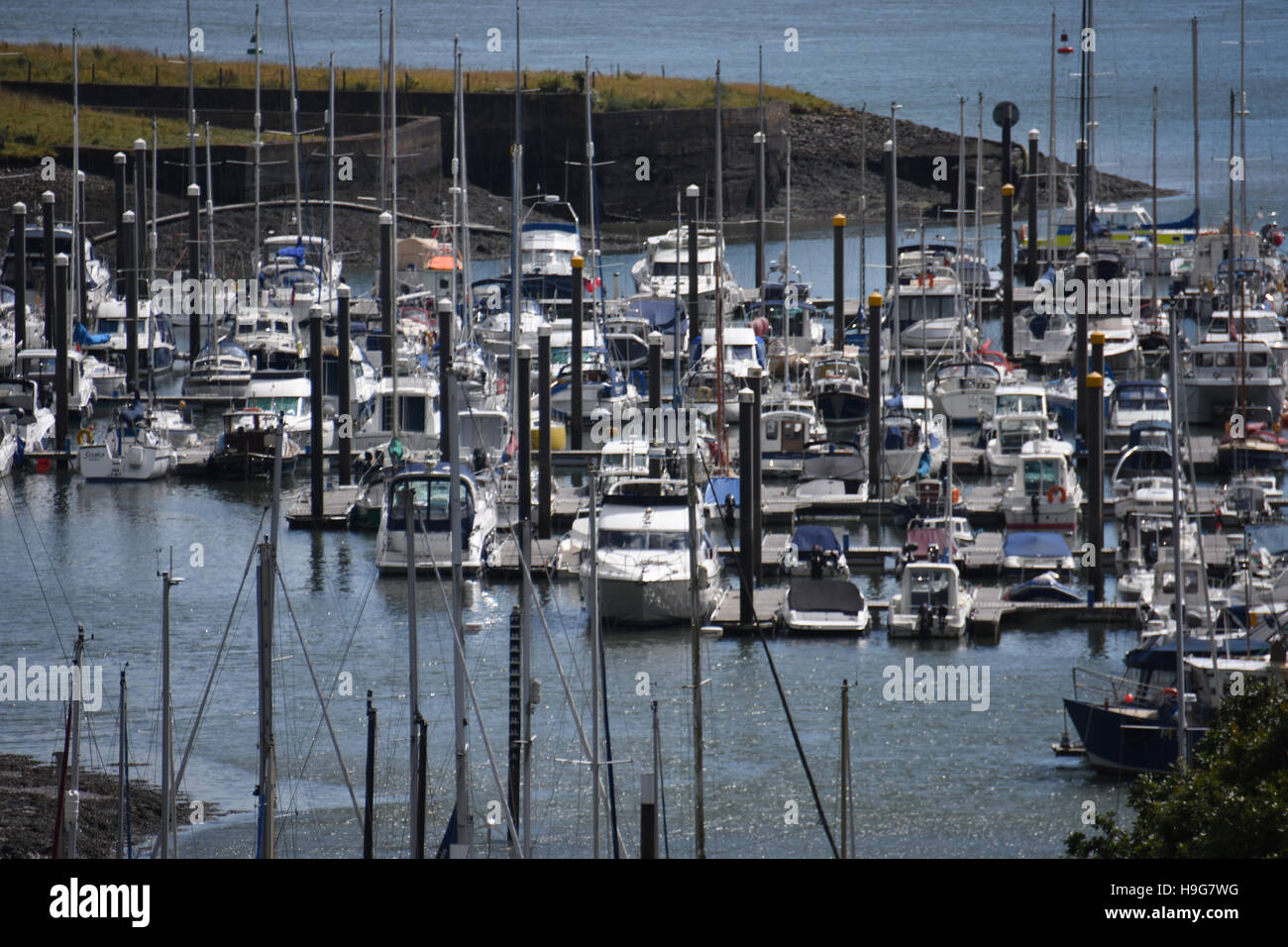Yachts at the lower basin of Neyland Marina partly obscured by the masts and pontoon piles Stock Photo