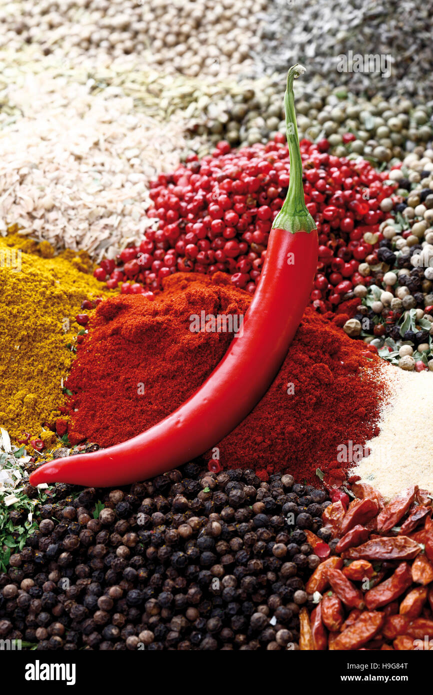 Various spices, peppercorns, bell pepper powder, chili peppers Stock Photo Alamy