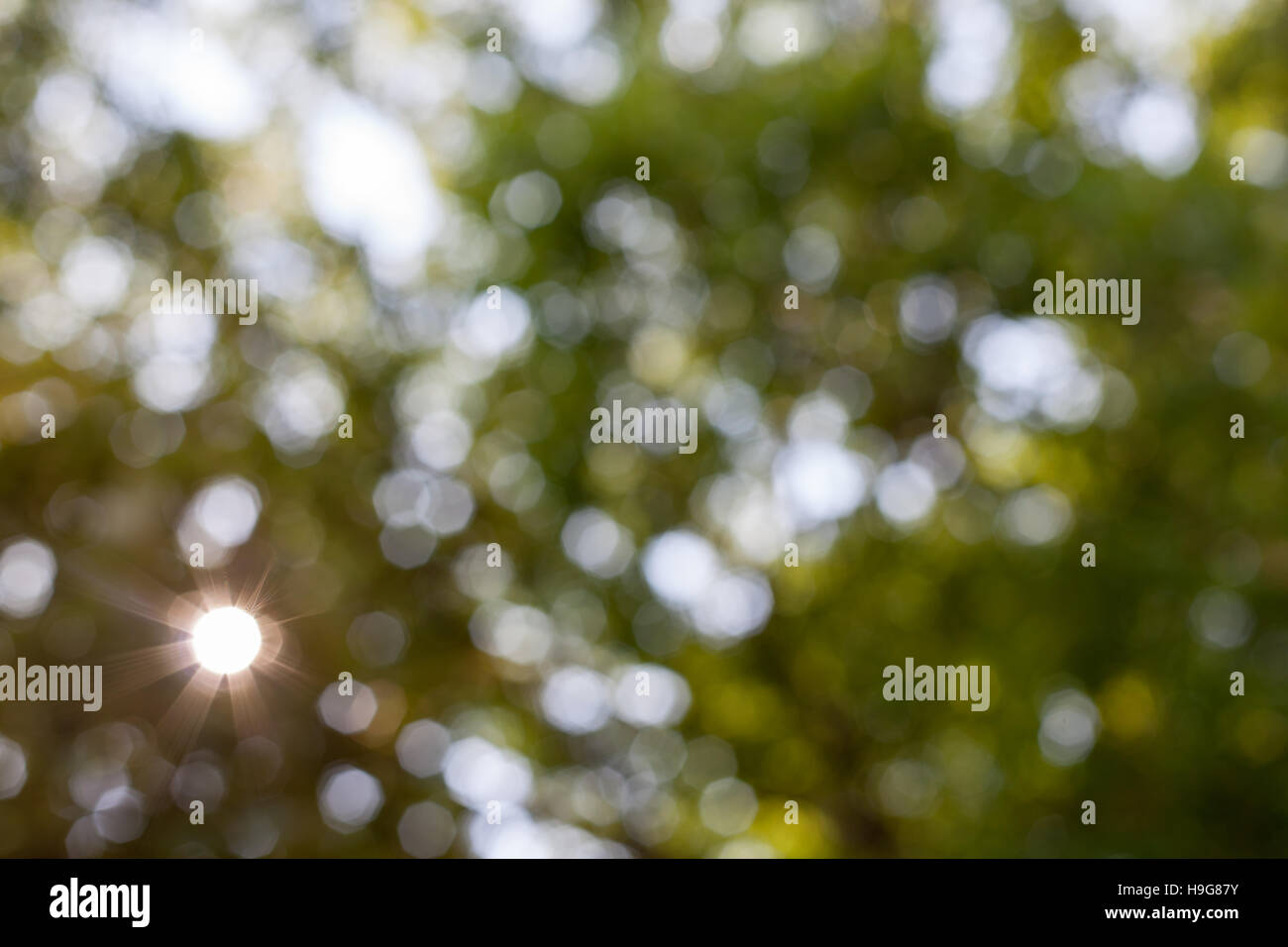 Bokeh light flare hi-res stock photography and images - Alamy