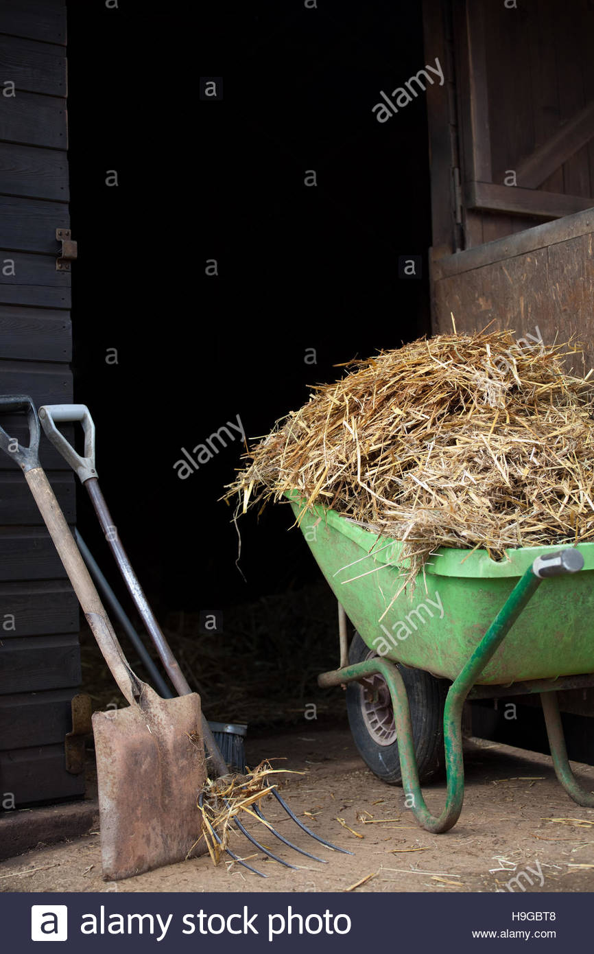 Mucking Out Stable High Resolution Stock Photography and Images Alamy