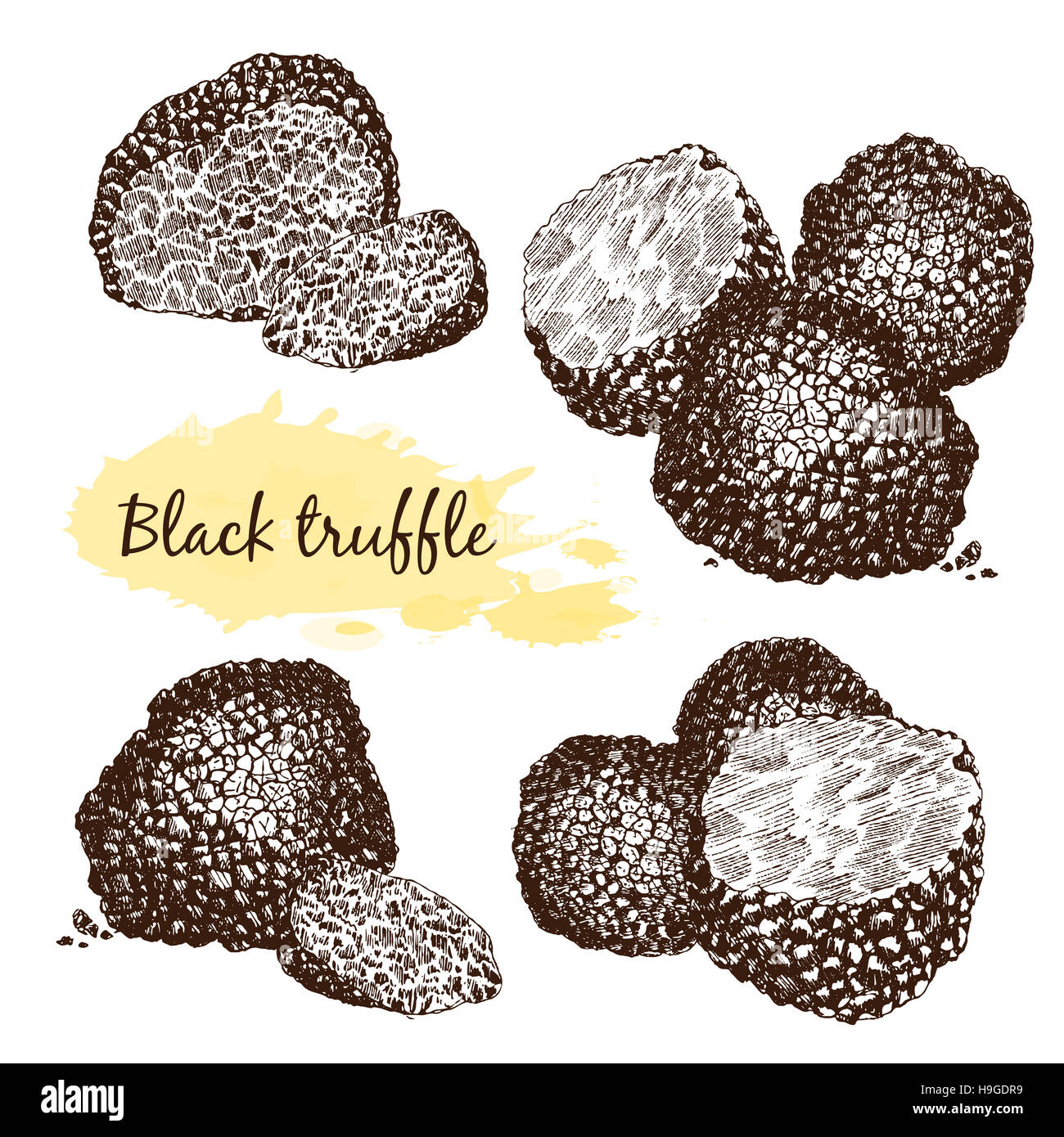 Group dark fungus on Cut Out Stock Images & Pictures - Alamy