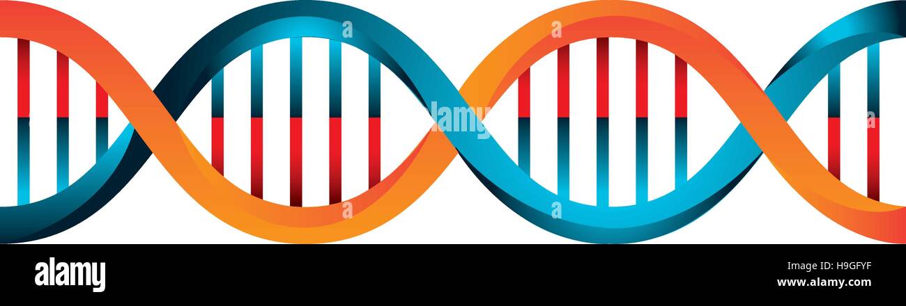 Molecular structure of DNA vector illustration design Stock Vector ...
