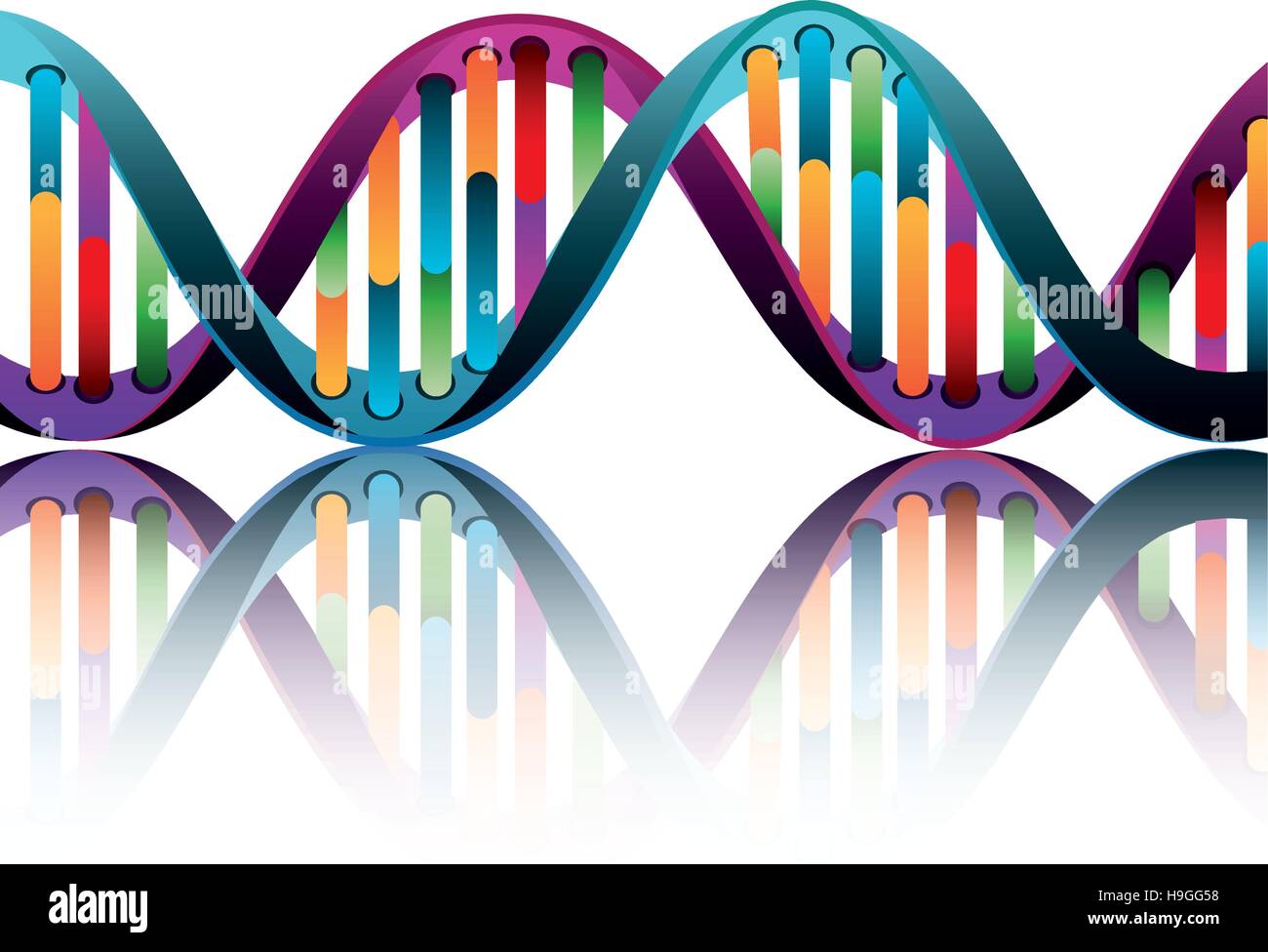 Molecular structure of DNA vector illustration design Stock Vector ...