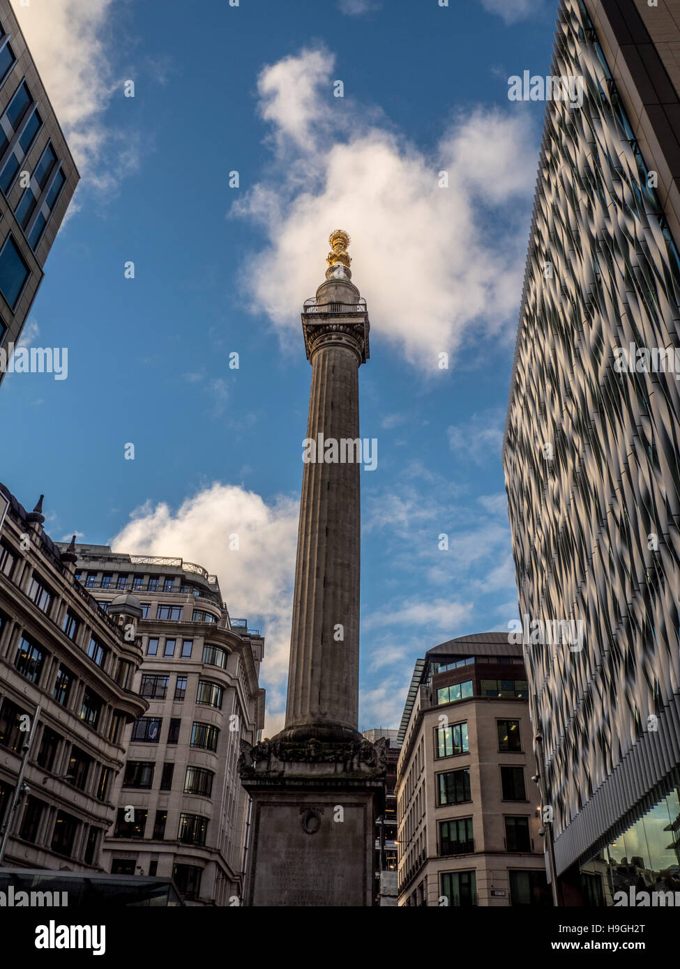 Monument to the Great fire of London by Sir Christopher Wren, London, UK. Stock Photo