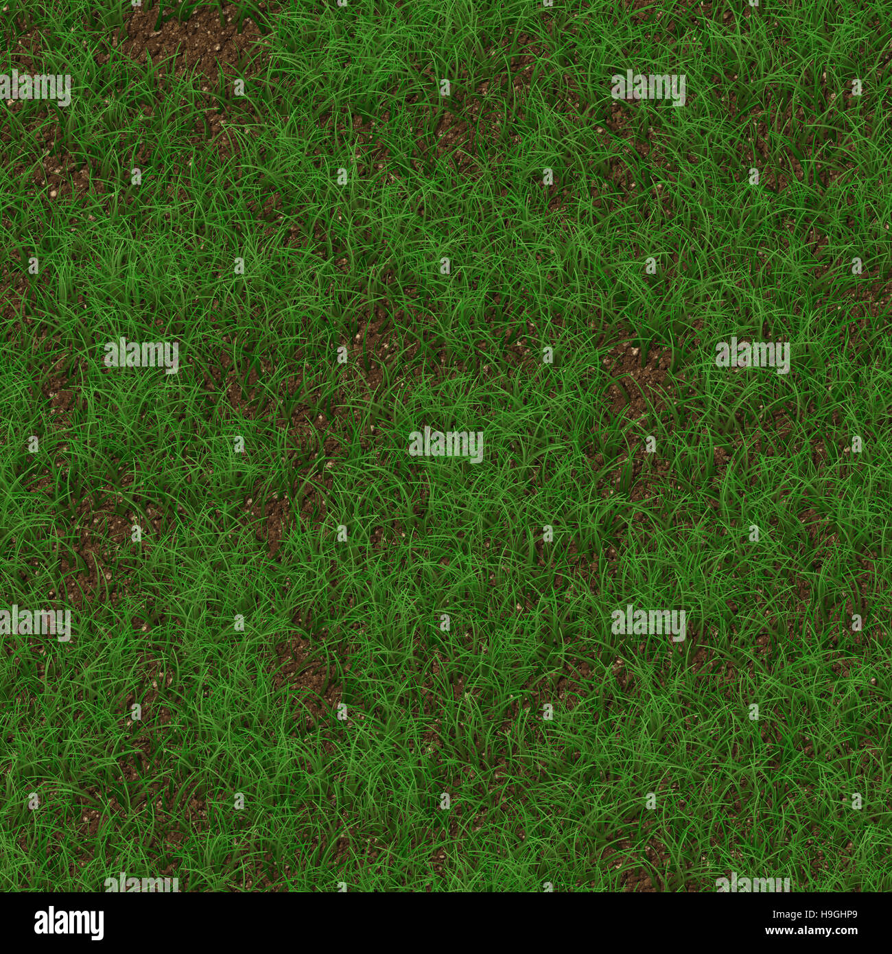 Green grass seamless texture background Stock Photo - Alamy