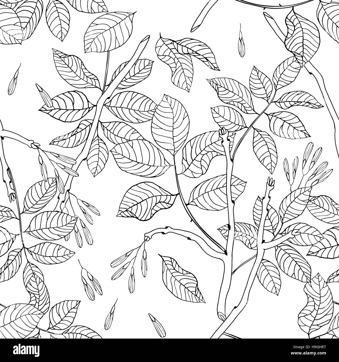 Vector hand drawn black and white floral seamless pattern of ash tree ...