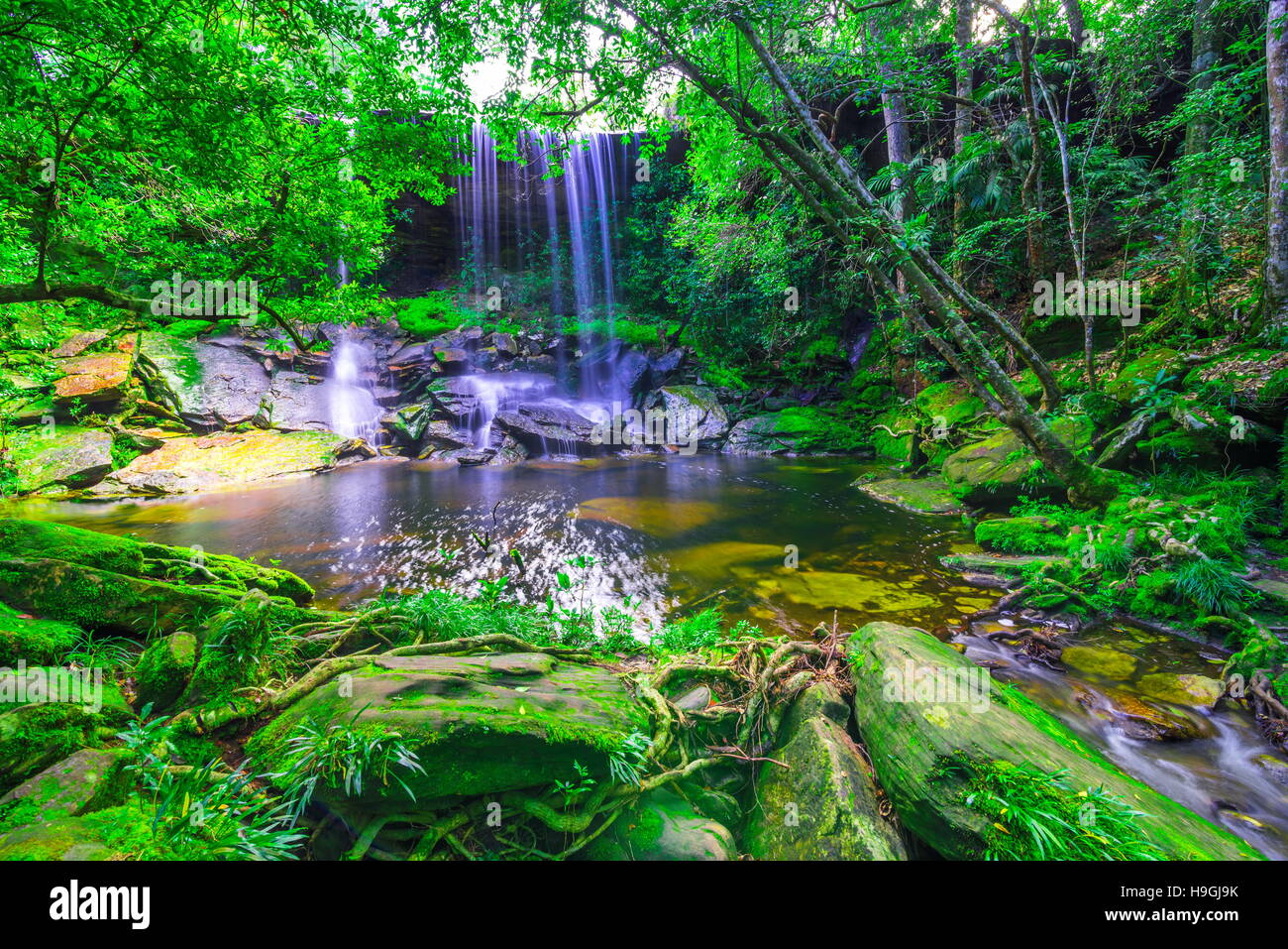 beautiful tropical rainforest waterfall in deep forest, Phu Kradueng National Park, Thailand Stock Photo