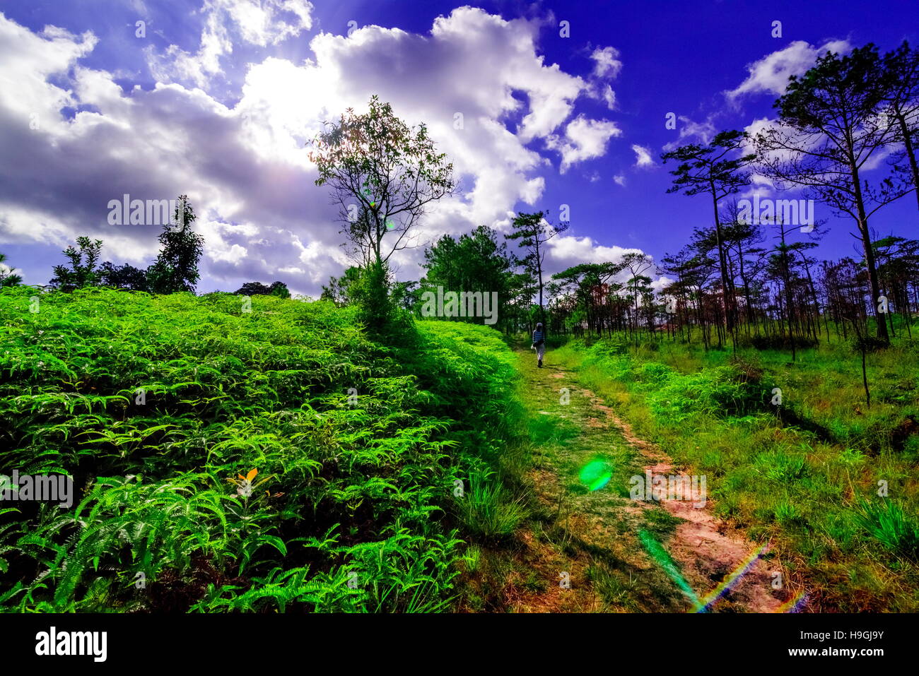 sunset in the mountain Stock Photo - Alamy