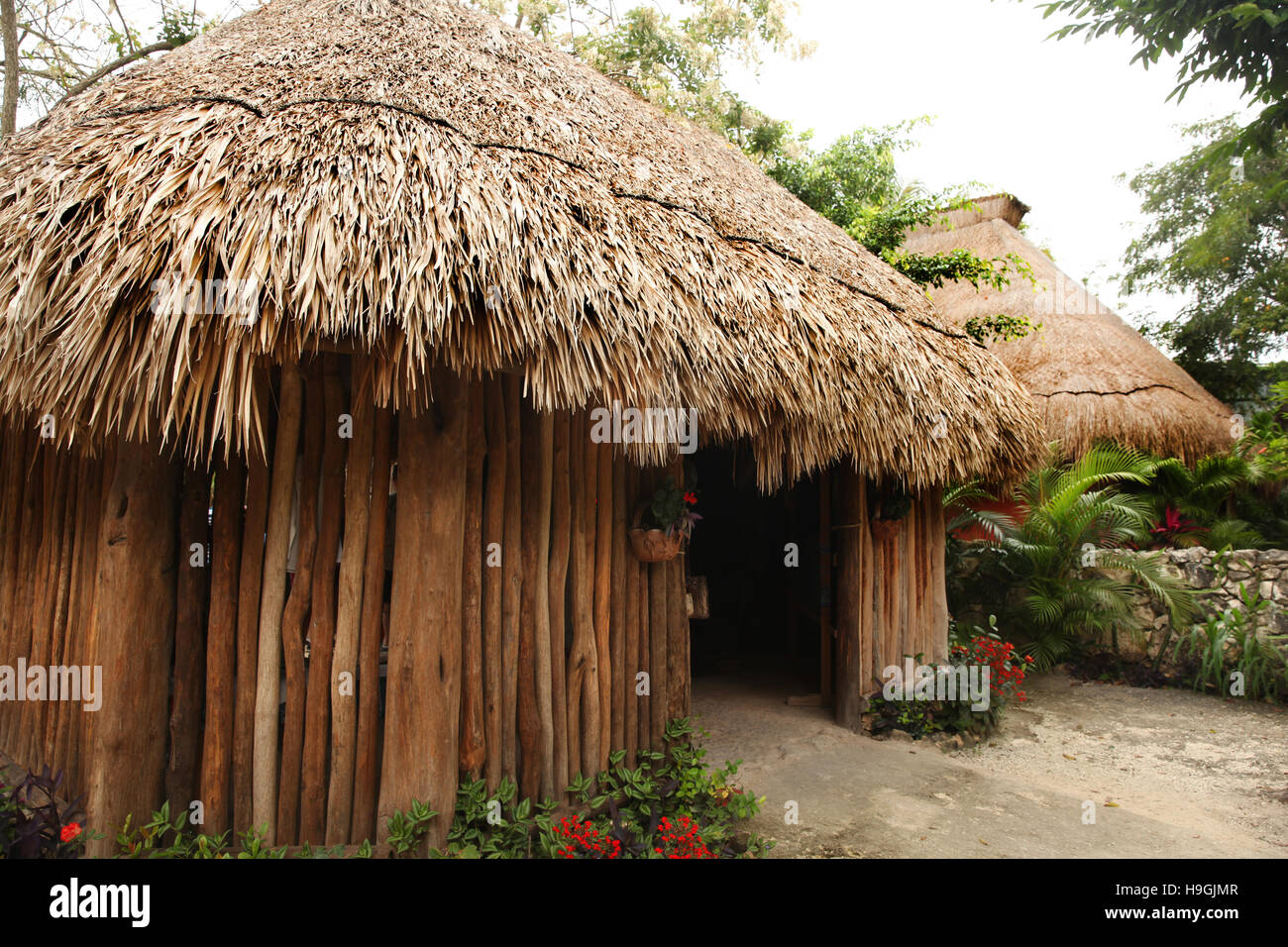 Traditional hut or home made from natural materials & thatched roof, Cozumel, Yucatan Peninsula, Quintana Roo, Mexico. Stock Photo