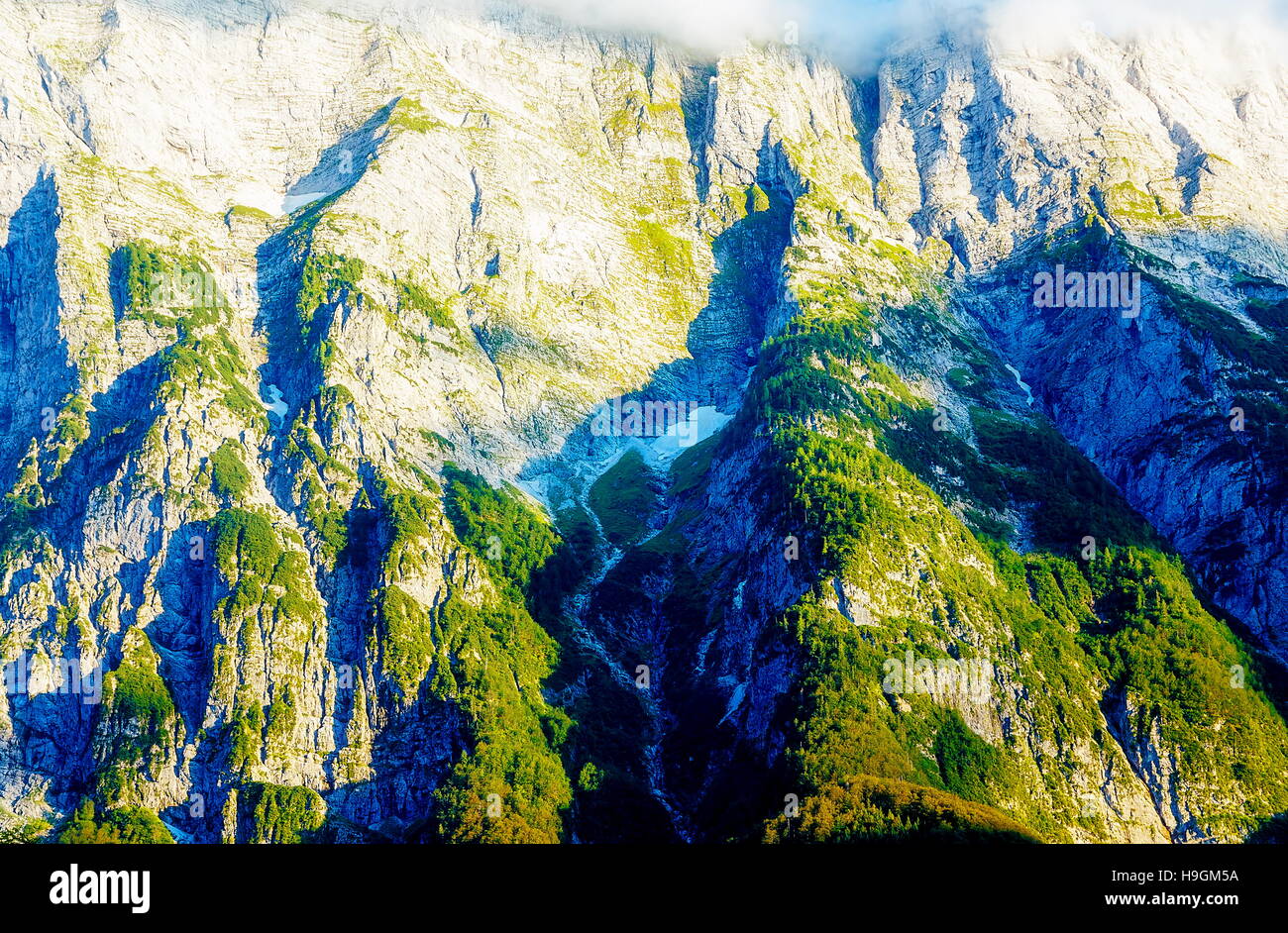 Moose covered rocks hi-res stock photography and images - Alamy
