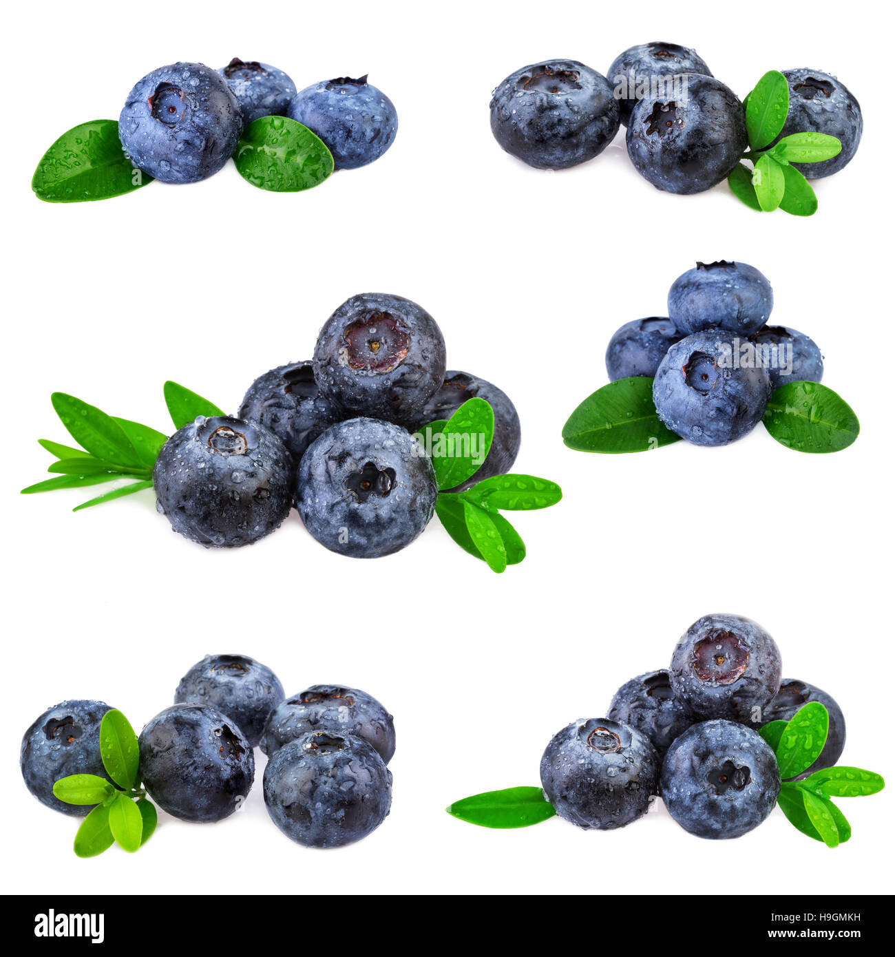 Blueberries set collection. Fresh blueberry isolated on white background. Stock Photo