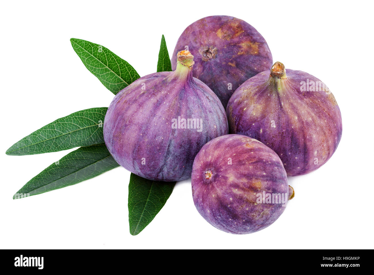 Fig leaf fruit hires stock photography and images Alamy