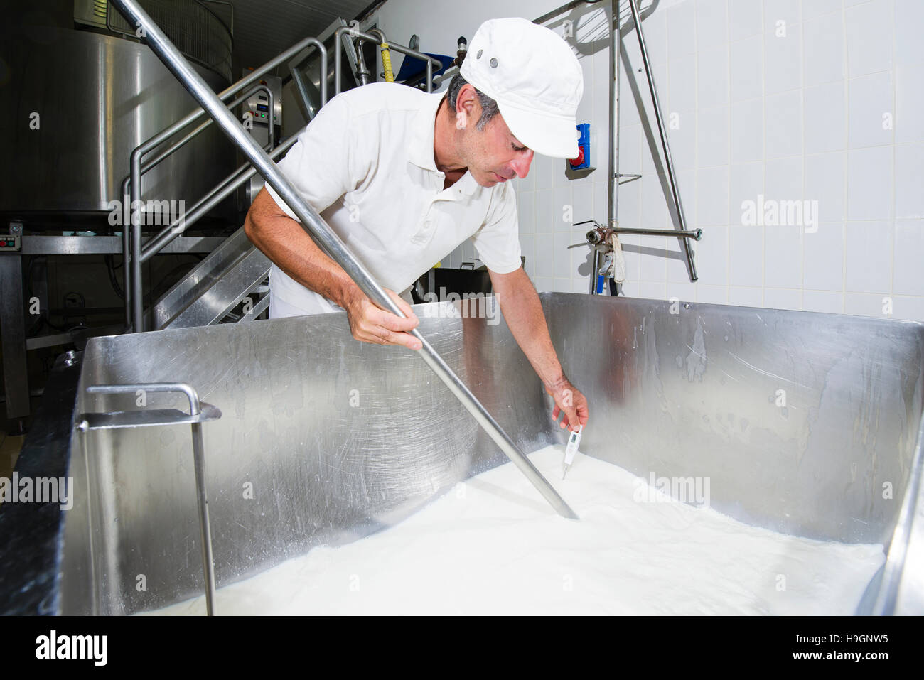 Cheesemaker measuring temperature with thermometer in a large steel tank  full of milk Stock Photo - Alamy