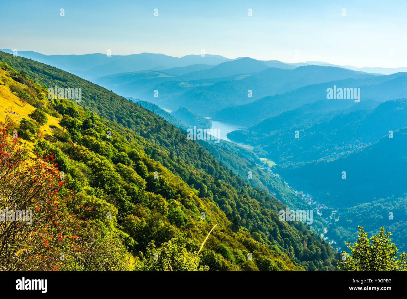 Vosges mountain route High Resolution Stock Photography and Images - Alamy