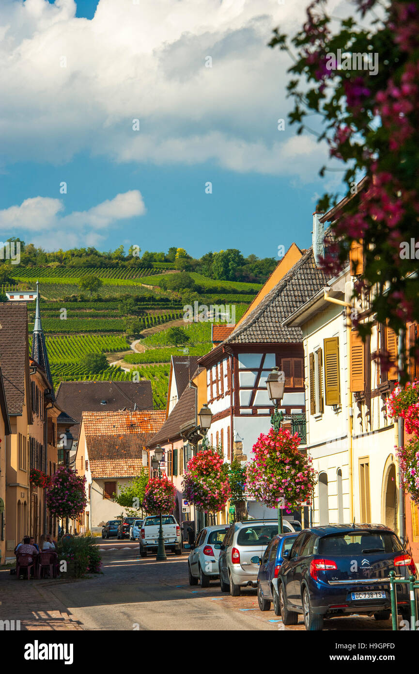 Rouffach, picturesque village, Alsace, scenic route of Vine Alsatian
