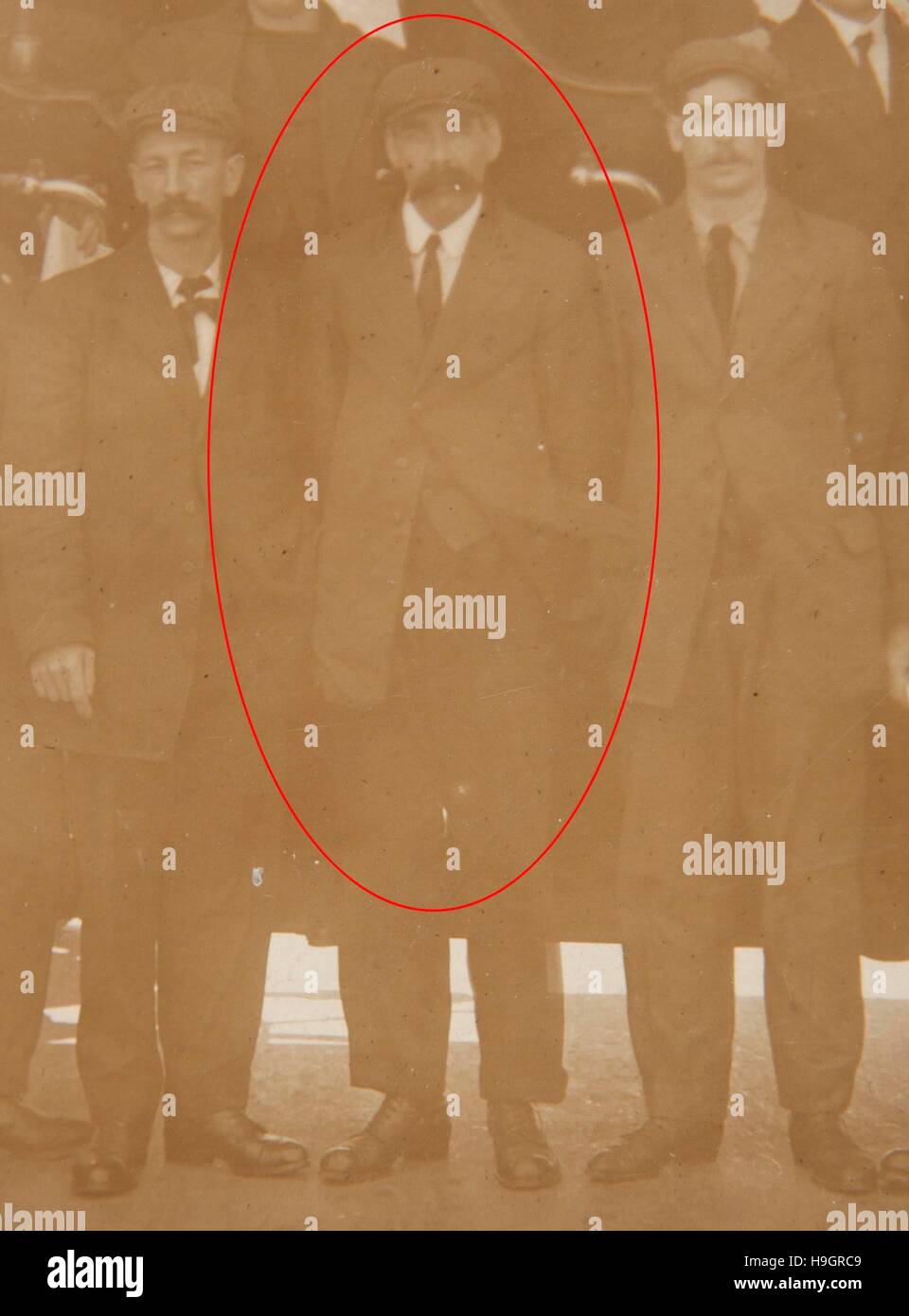 Lamp trimmer hires stock photography and images Alamy