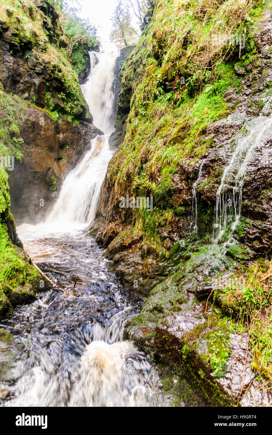 Waterfalls in Glenariff Forest Park, one of the seven Glens of Antrim, County Antrim, Northern Ireland Stock Photo