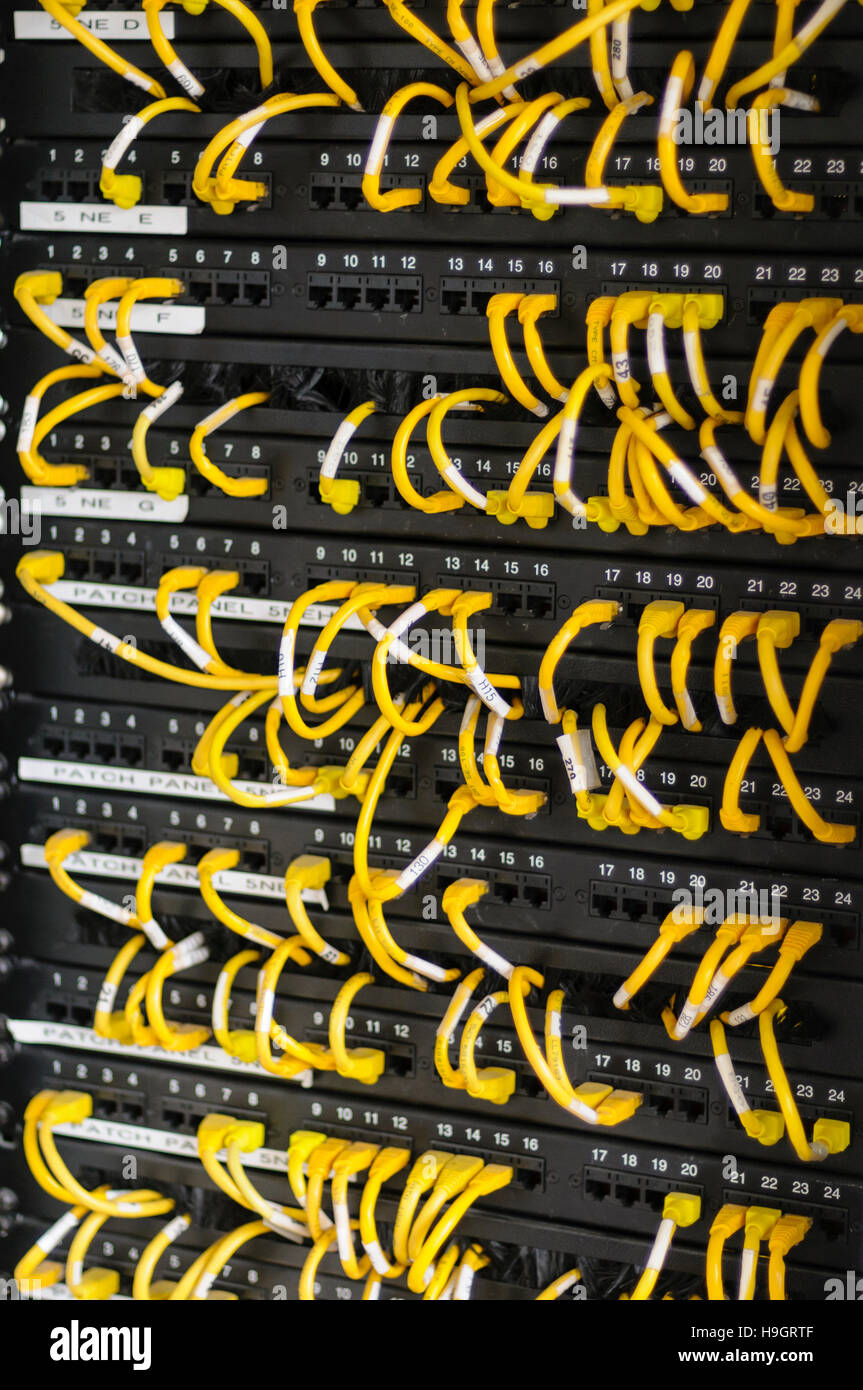Yellow ethernet cables neatly organised in an office LAN patch panel for network configuration. Stock Photo