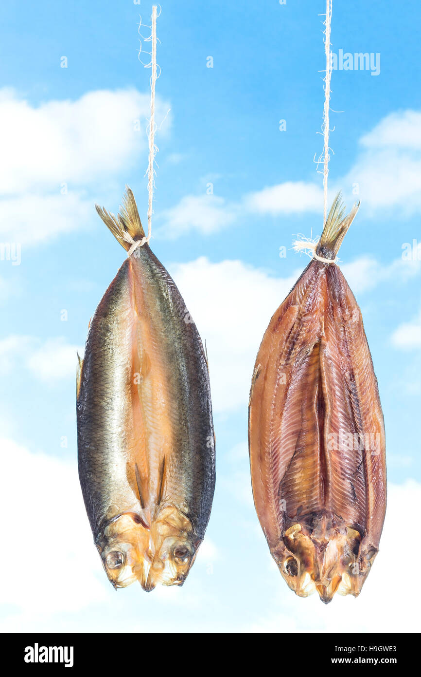 Traditionally smoked kippered herring on blue sky background Stock