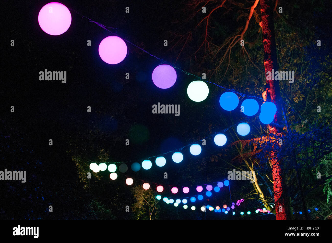 London, UK. 22nd Nov, 2016. Circular illuminations hang between trees as part of Christmas at Kew, London. UK. More than 60,000 lights illuminate the trees, plants and gardens. The trail is more than a mile long and includes artworks from both UK and international artists and designers. The show opens 23rd November 2016 and closes 2nd January 2017. Credit:  Tricia de Courcy Ling/Alamy Live News Stock Photo