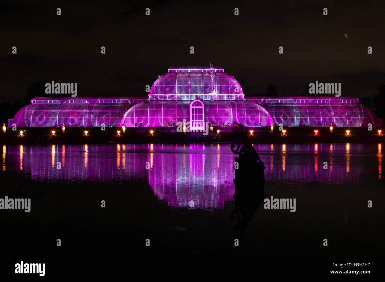 London, UK. 22nd Nov, 2016. The Palm house at Kew Gardens lit up by laser beams. The illuinated glasshouse is part of the Christmas at Kew light trail.  More than 60,000 lights light up the trees, plants and gardens. The trail is more than a mile long and includes artworks from both UK and international artists and designers. The show opens 23rd November 2016 and closes 2nd January 2017. Credit:  Tricia de Courcy Ling/Alamy Live News Stock Photo