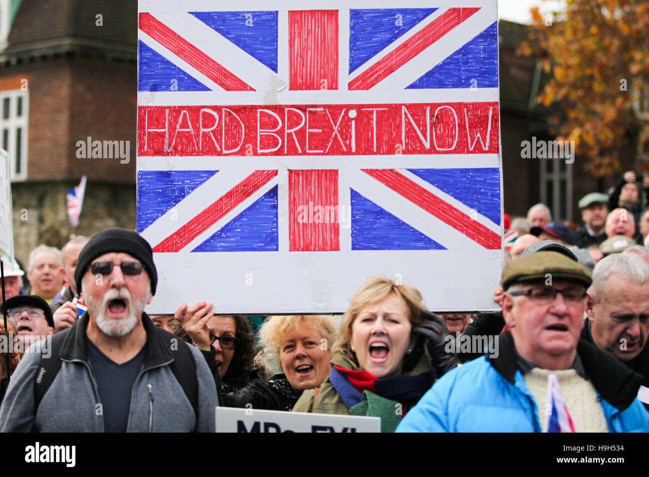 London, UK. 23rd Nov, 2016. Hundreds of Pro-Brexit campaigners ...