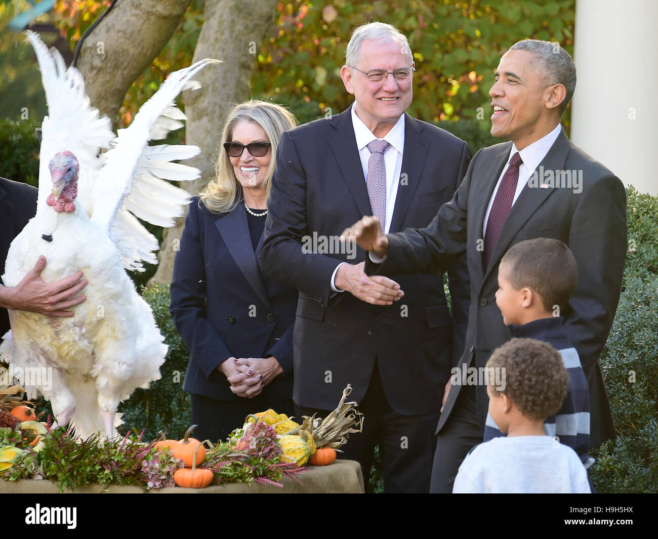Washington DC, USA. 23rd November, 2016. United States President Barack Obama pardons the 2016 National Thanksgiving Turkey, Tater, and its alternate Tot, during a ceremony in the Rose Garden of the White House in Washington, DC. This is the 69th anniversary of this honored tradition began in 1947 by President Harry S Truman. Once pardoned the birds will be sent to their new home at Virginia Tech's Animal and Poultry Sciences Department at “Gobbler's Rest” in Blacksburg, Virginia where they will be cared for by students and veterinarians. Credit:  MediaPunch Inc/Alamy Live News Stock Photo