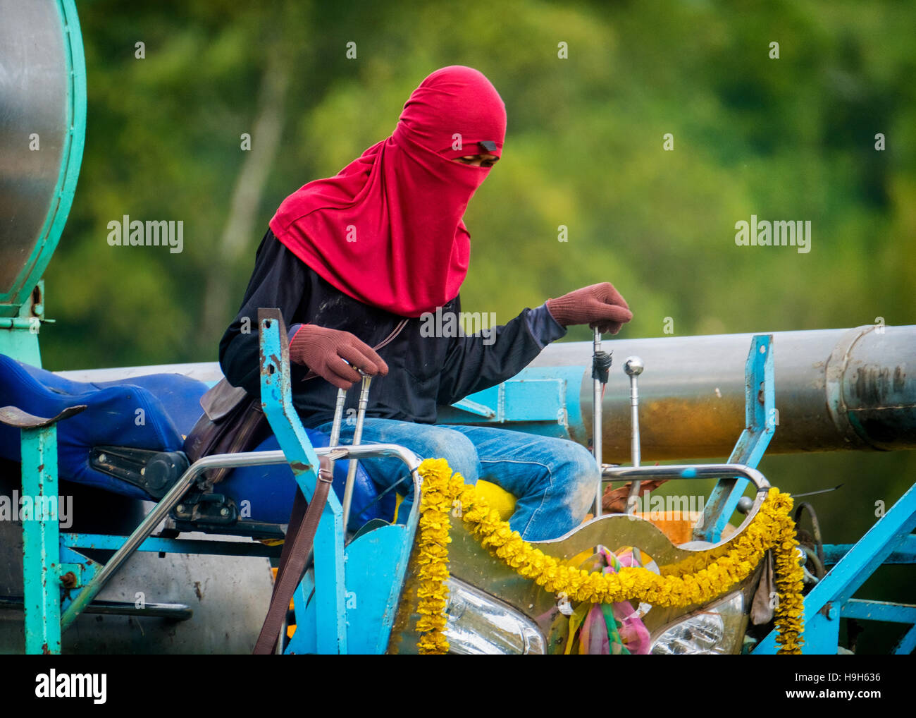 Nakhon Nayok, Thailand. 23rd Nov, 2016. Rice prices are at a 13 month low, creating hardships for Thailand's rice farmers as a colorfully dressed machine operator harvests rice in rural Thailand. Credit:  Lee Craker/Alamy Live News Stock Photo