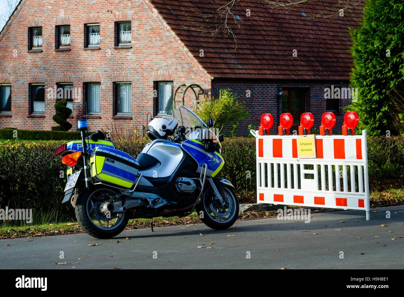 Barssel, Germany. 24th Nov, 2016. A police motorcylce seen in front of a barrier put up because of avian flu near Barssel, Germany, 24 November 2016. More animals have been killed around the operation in Barssel that has been hit with the avian flu pathogen H5n8. Photo: Thorsten Helmerichs/dpa/Alamy Live News Stock Photo