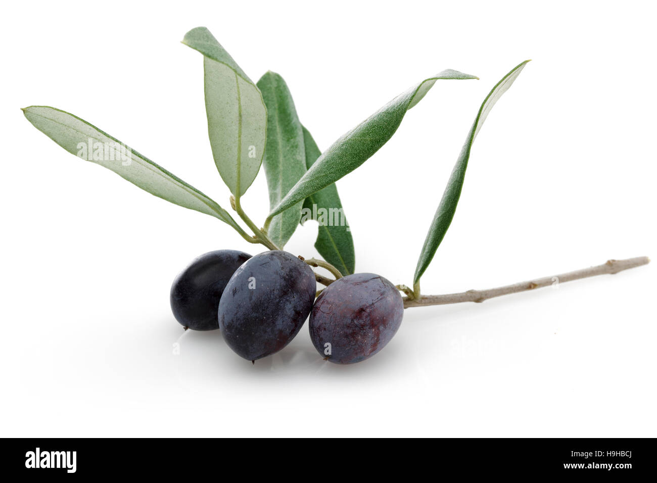 Black Olive with green leaves isolated on white background Stock Photo ...