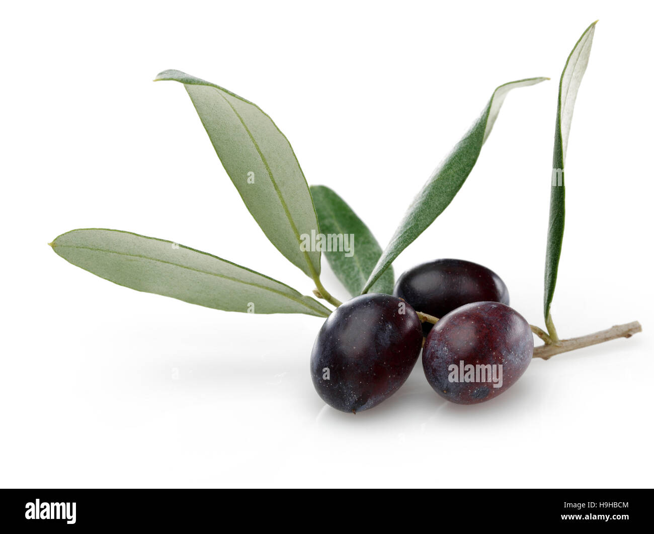 Black Olive with green leaves isolated on white background Stock Photo ...