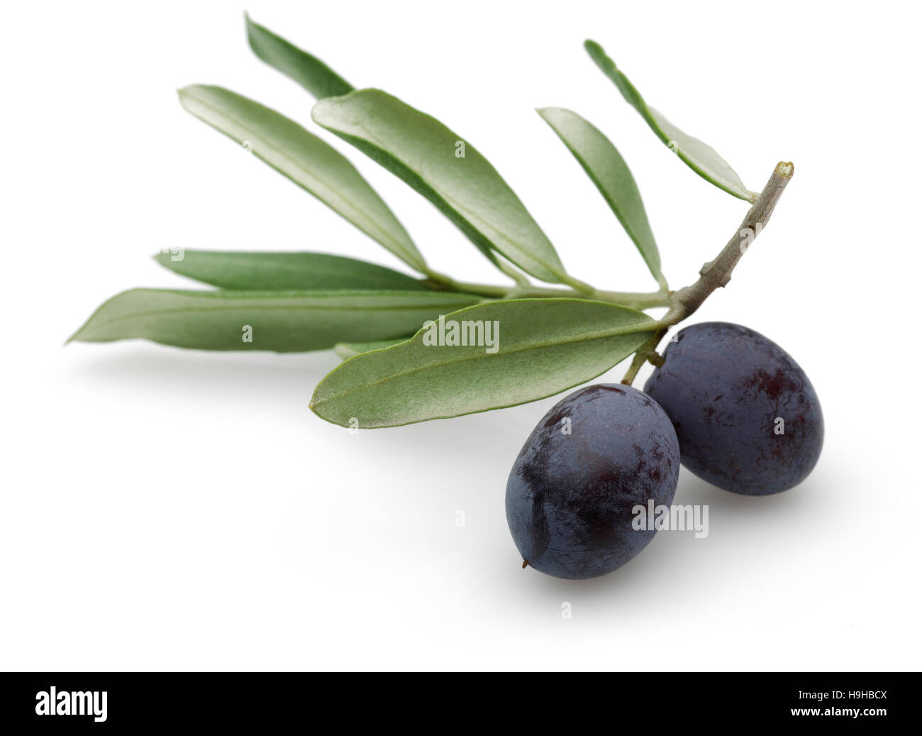 Black Olive with green leaves isolated on white background Stock Photo ...