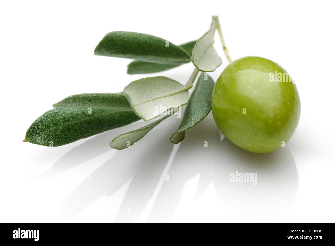 Green Olive with green leaves isolated on white background. Stock Photo