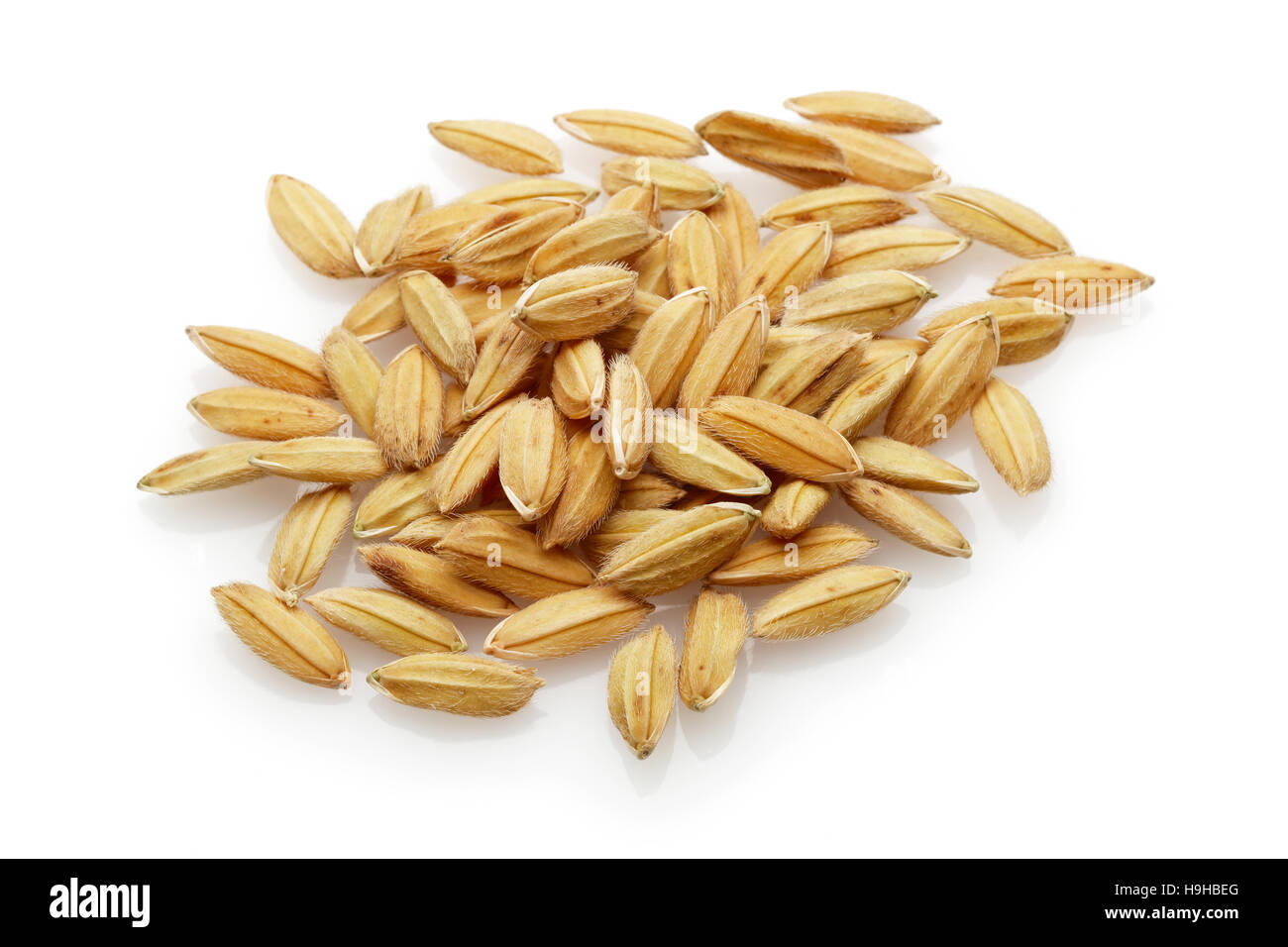 Paddy Rice seed. Isolated on a white background Stock Photo