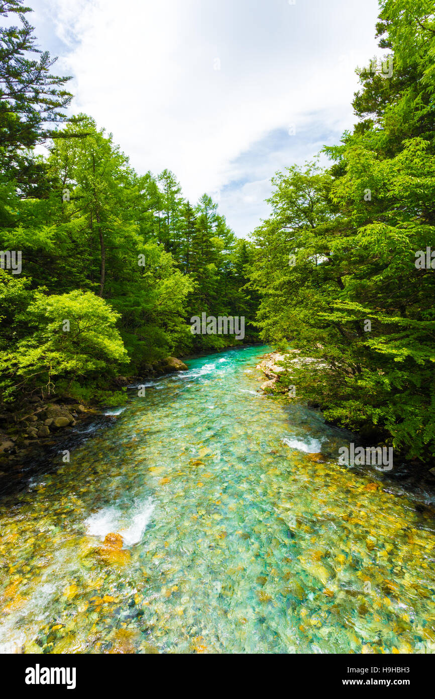 Colorful water of the Azusa River flows downstream into the forest in the pristine nature landscape of Japanese Alps Kamikochi Stock Photo