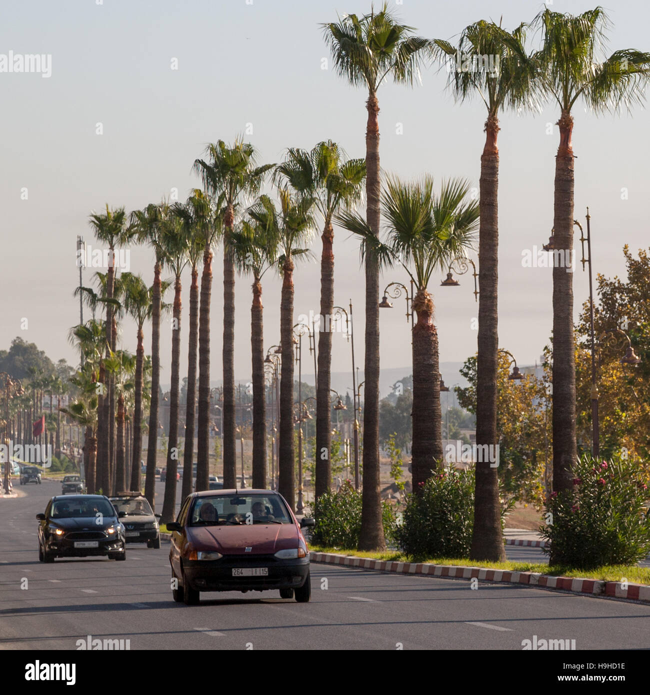 Avenue with line of palms in Fès. At the end is one cell phone tower. In Morocco, the numerous cell phone masts sometimes disguise themselves as palm trees Stock Photo
