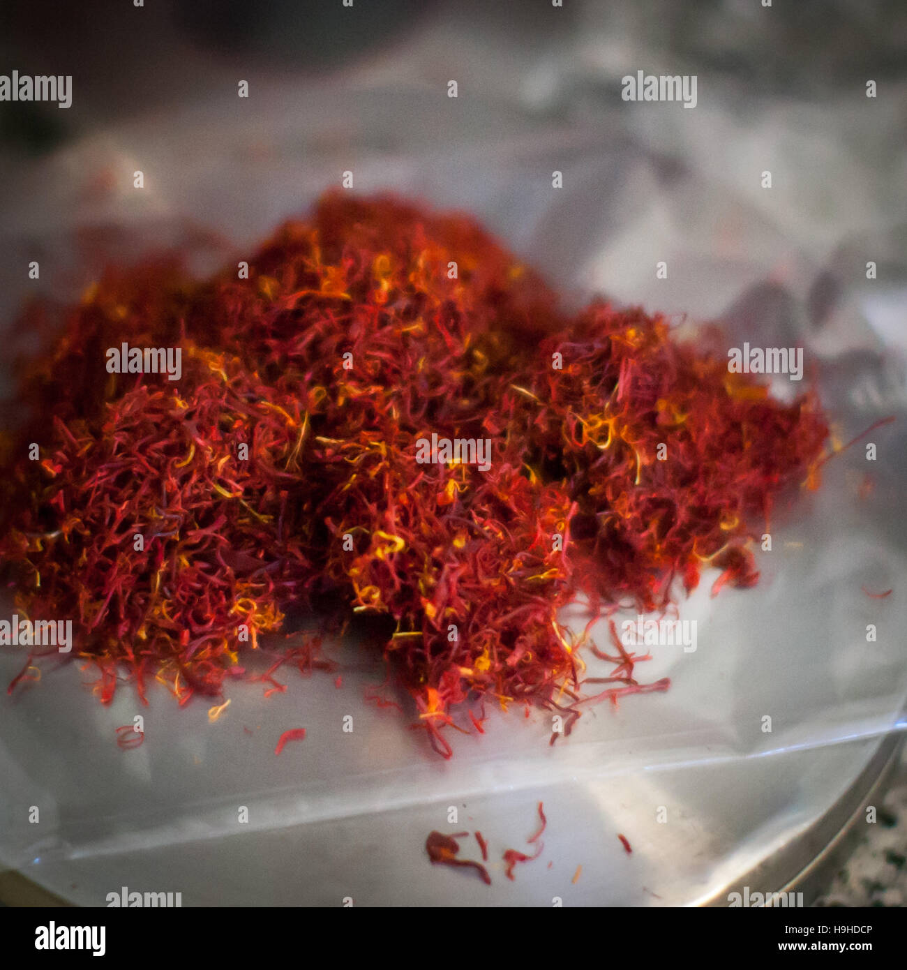 Expensive moroccan saffron on scale. Saffron, the red gold not only has