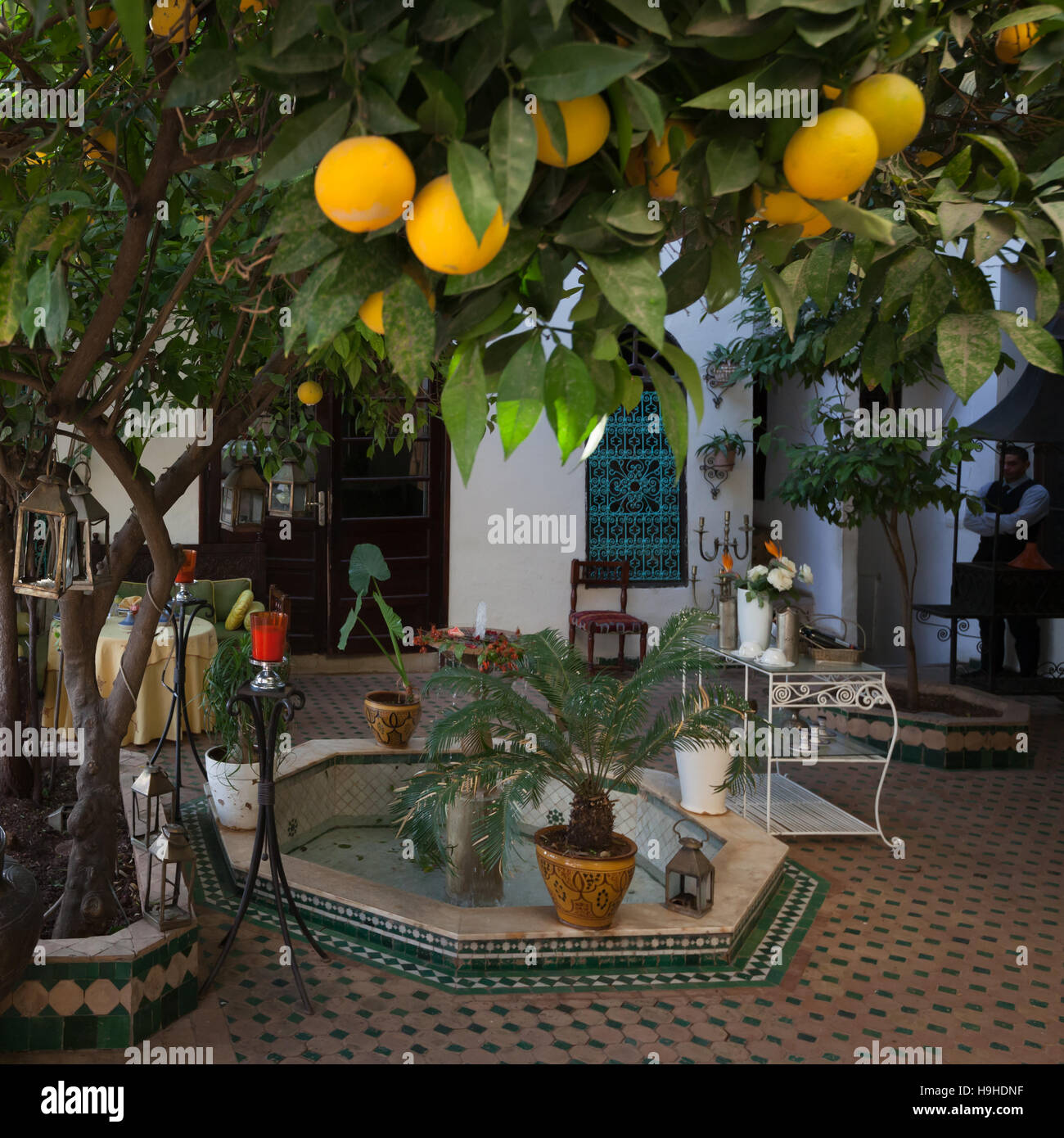 A fountain and a lemon tree can be found in every riad patio in Fès, Morocco. There is no reception at Riad Arabesque, but the courtyard is an oasis of calm. The registration formalities can be completed over a Moroccan mint tea Stock Photo