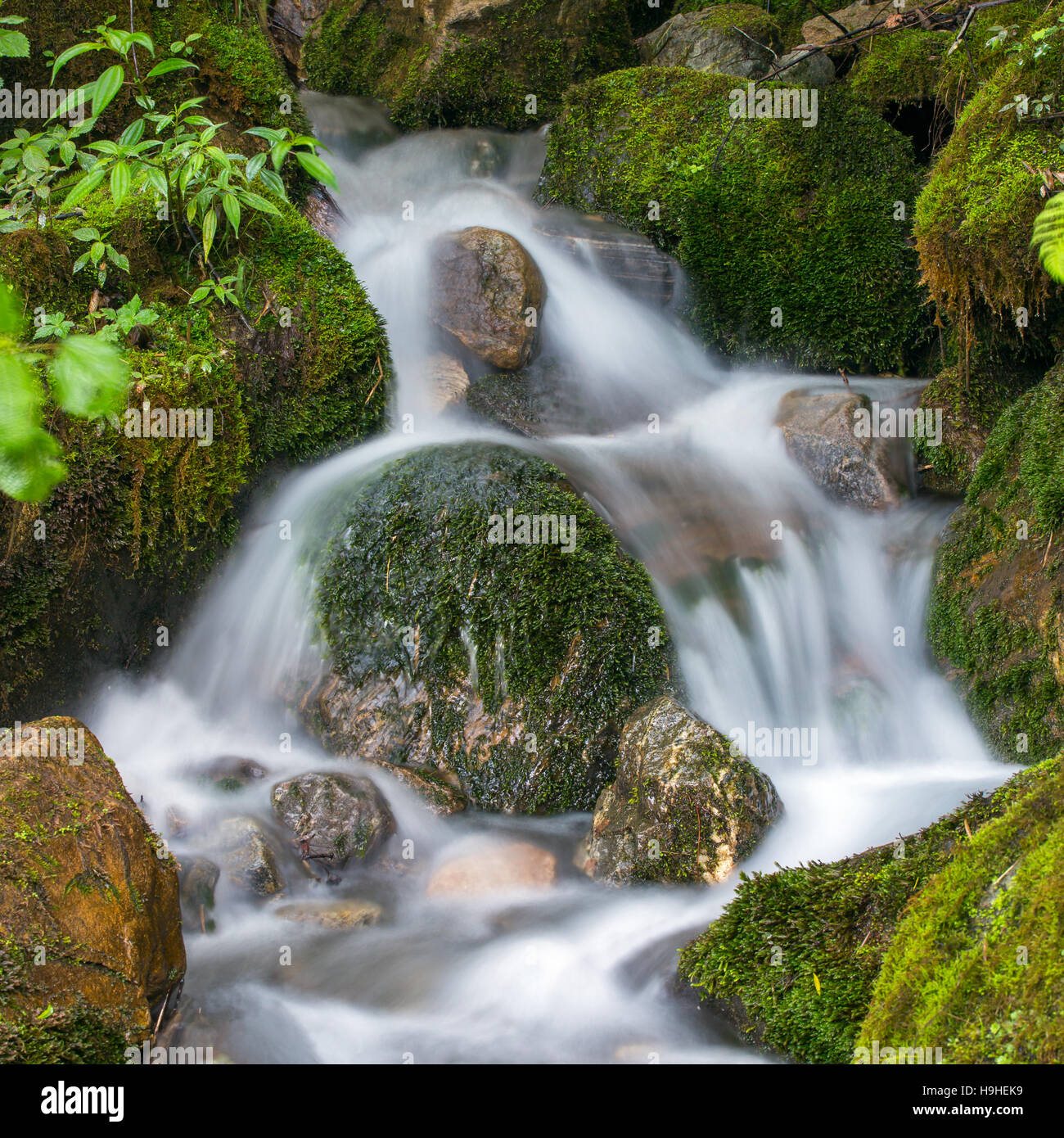 Long exposure photo of a beautiful waterfall in the forest Stock Photo