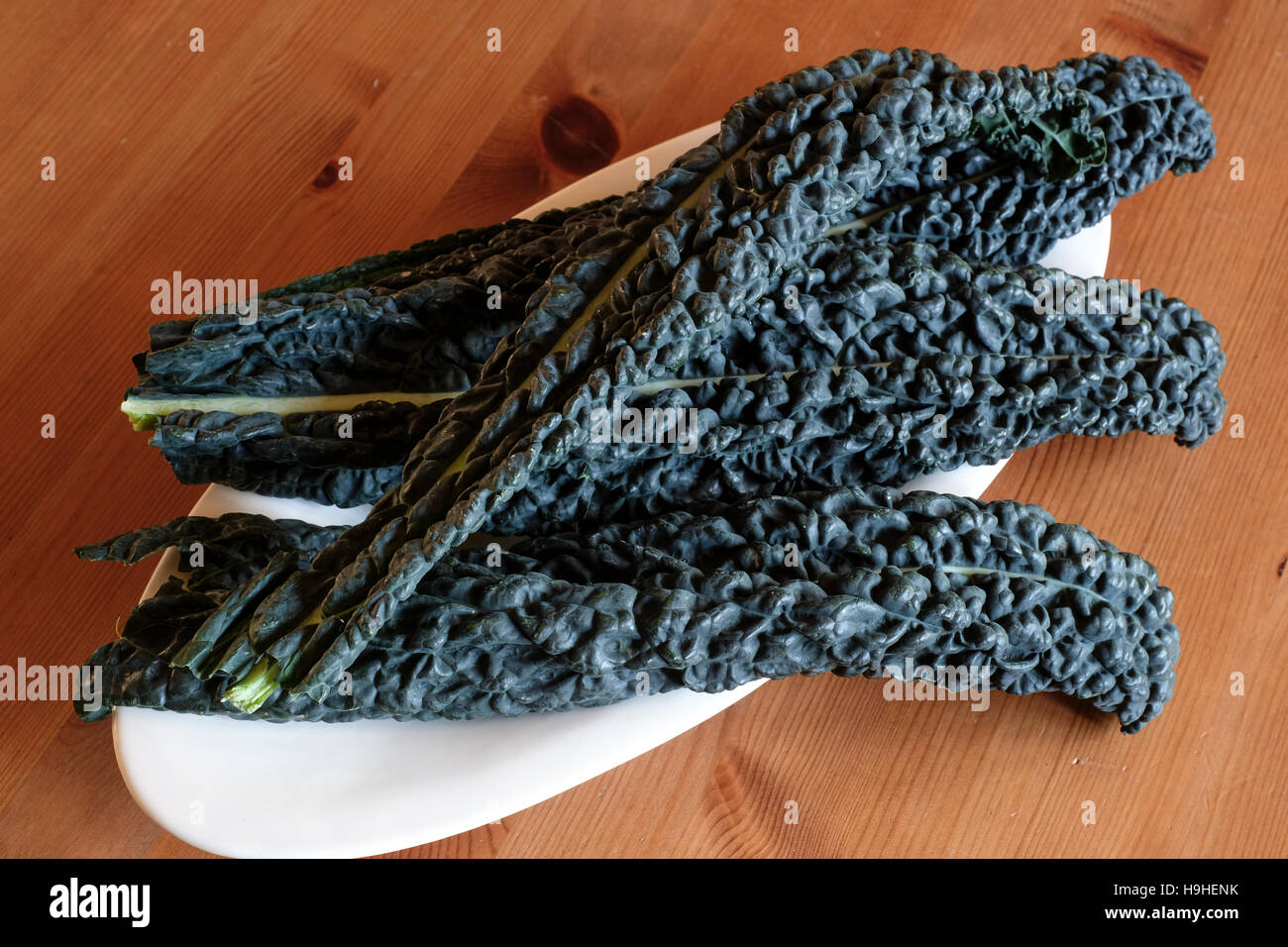 Black Kale Stock Photo